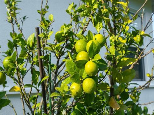 20122 Orchid Street, Newport Beach, CA