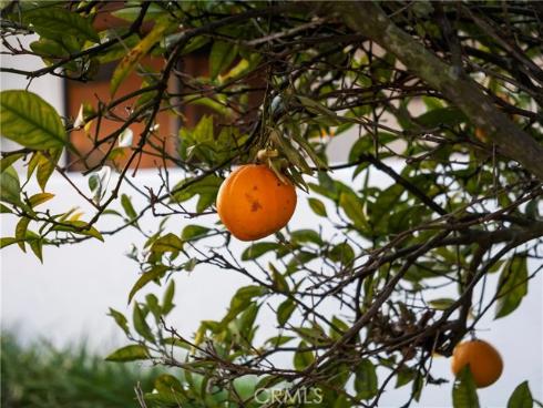 1954 Vista Caudal , Newport Beach, CA