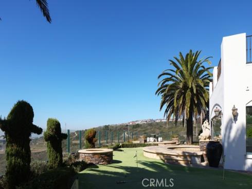 3  Via Burrone  , Newport Coast, CA