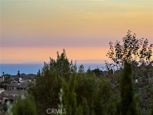 6  Canyon Peak  , Newport Coast, CA