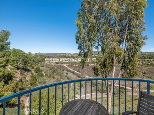 4  Chandon  , Newport Coast, CA