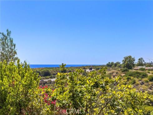 28 Sandy Cv , Newport Coast, CA
