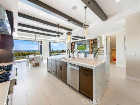 9 Coastal Canyon , Newport Coast, CA