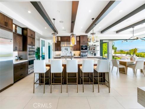 9 Coastal Canyon , Newport Coast, CA