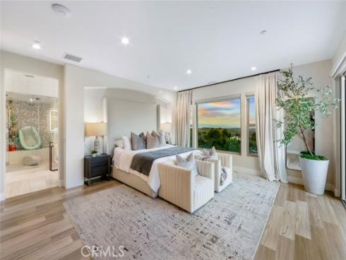 9 Coastal Canyon , Newport Coast, CA