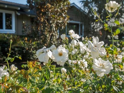 2011  Redberry  , North Tustin, CA