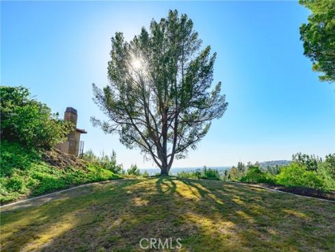 10961  Limetree  , North Tustin, CA