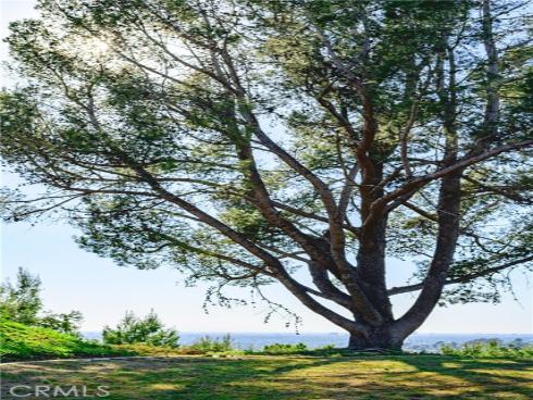 10961  Limetree  , North Tustin, CA