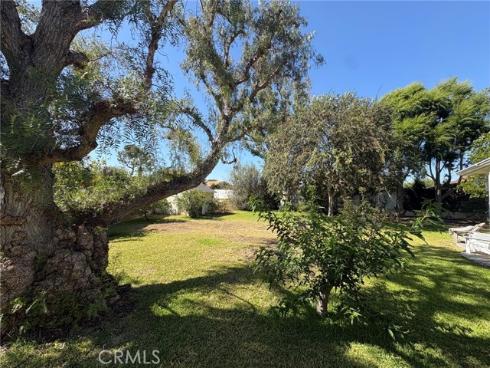 12128  Orvillina  , North Tustin, CA
