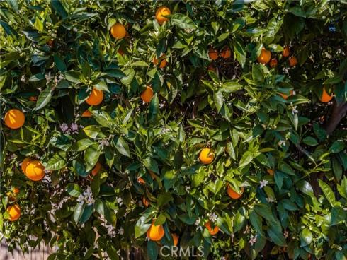 358 N Shaffer Street, Orange, CA