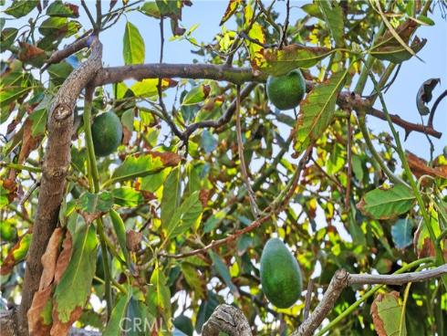 2320 W Beverly Drive, Orange, CA