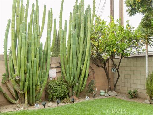 3139 E Chapman 14A Avenue, Orange, CA