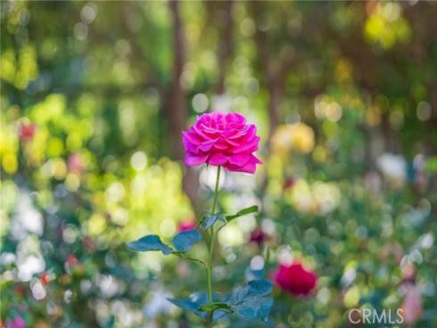 435 S Estate   Drive, Orange, CA