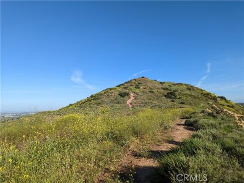 5927 E Creekside 18 Avenue, Orange, CA