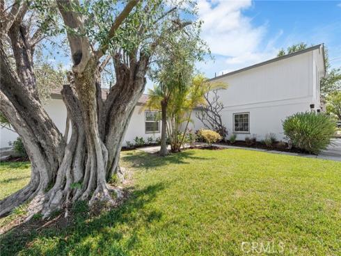 3932 E Sycamore   Avenue, Orange, CA