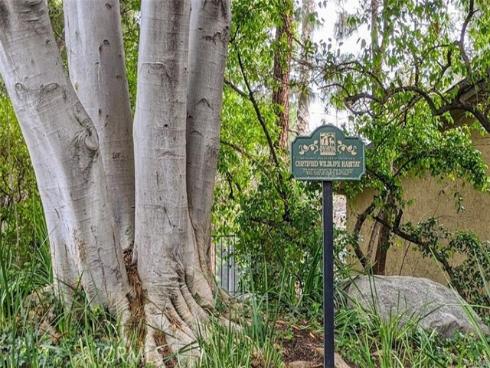 4900 E Chapman  24  Avenue, Orange, CA