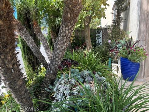 8343 E Chatham Terrace, Orange, CA