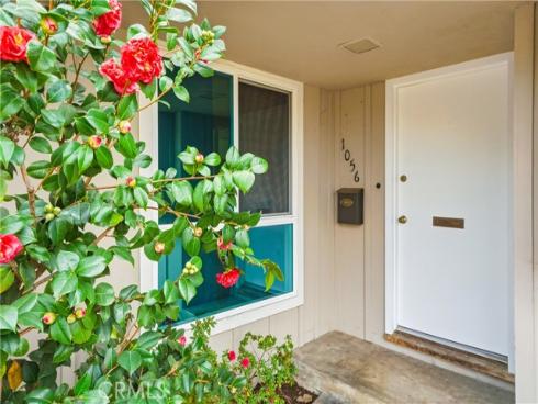 1056 N Shaffer , Orange, CA