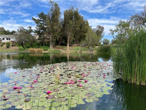 7635 E Appaloosa  , Orange, CA