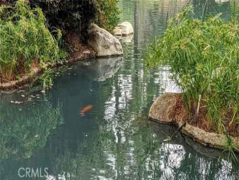 4900 E Chapman  51  Avenue, Orange, CA