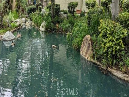 4900 E Chapman  51  Avenue, Orange, CA