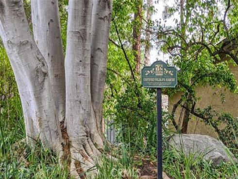 4900 E Chapman  51  Avenue, Orange, CA