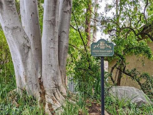 4900 E Chapman 90 Avenue, Orange, CA