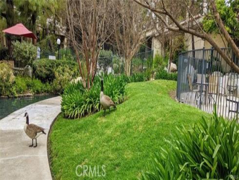 4900 E Chapman 90 Avenue, Orange, CA