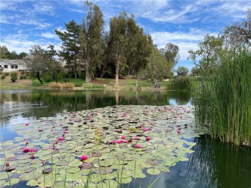 714 N Lemon Hill Trail, Orange, CA