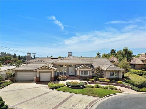 1582 White Alder