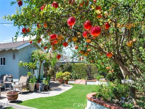 2543 E Coolidge , Orange, CA