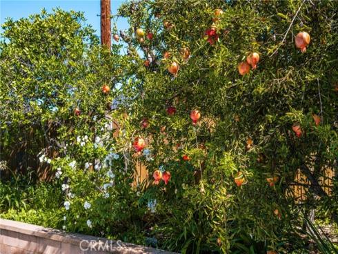 1209 E Walnut , Orange, CA