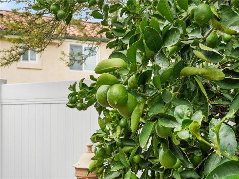 8301 E Peacock , Orange, CA