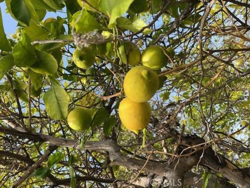 325 Sunrise Street, Placentia, CA