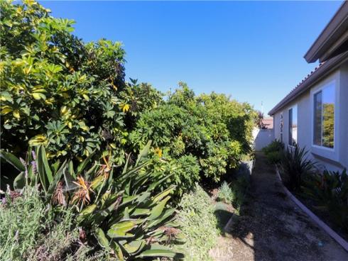 1302 N Belfi  , Placentia, CA