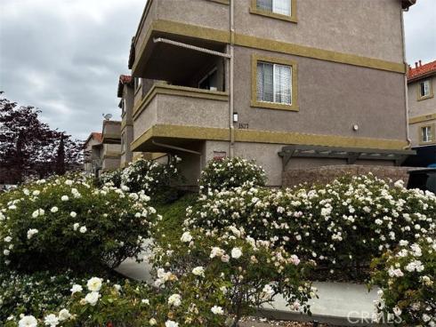 1537 E. Spruce A