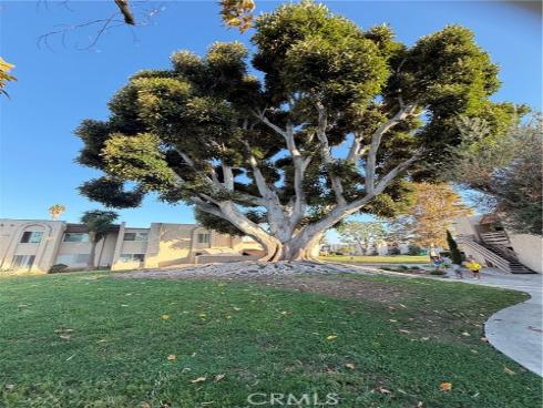 212 S Kraemer 2502 , Placentia, CA