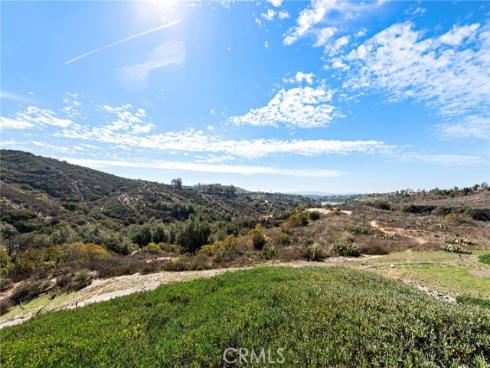 21485 Silvertree Lane, Rancho Santa Margarita, CA