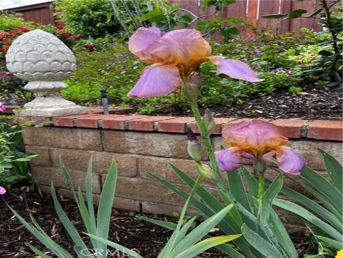 21102 Cimmaron Lane, Rancho Santa Margarita, CA