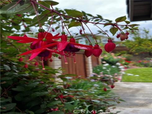 21102 Cimmaron Lane, Rancho Santa Margarita, CA