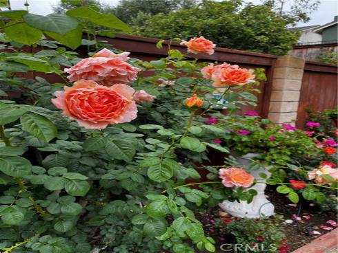 21102 Cimmaron Lane, Rancho Santa Margarita, CA