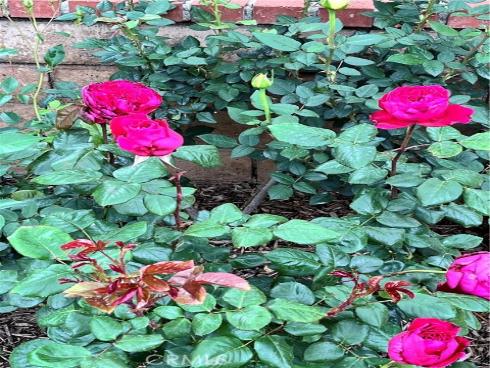 21102 Cimmaron Lane, Rancho Santa Margarita, CA