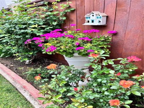 21102 Cimmaron Lane, Rancho Santa Margarita, CA