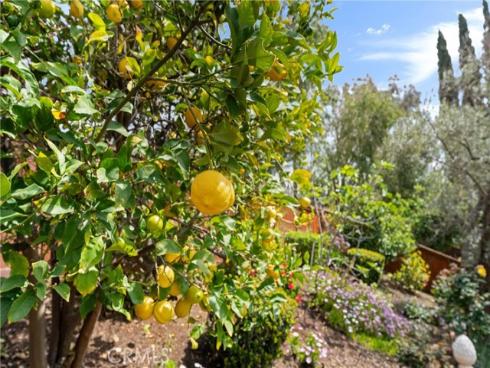 21102 Cimmaron Lane, Rancho Santa Margarita, CA