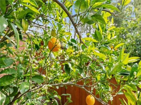 21102 Cimmaron Lane, Rancho Santa Margarita, CA