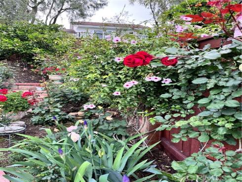 21102 Cimmaron Lane, Rancho Santa Margarita, CA