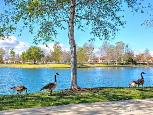 141 Mira Mesa , Rancho Santa Margarita, CA