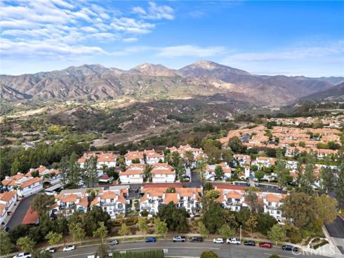 34  Dianthus  , Rancho Santa Margarita, CA