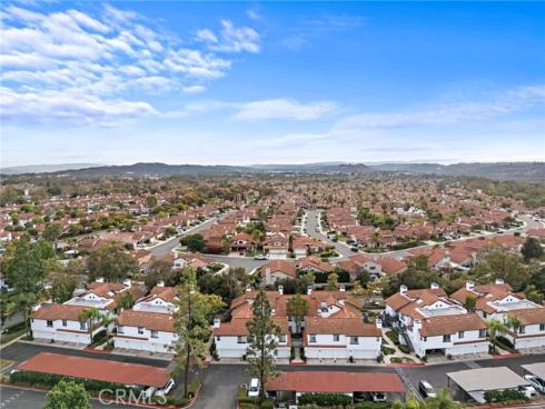 34  Dianthus  , Rancho Santa Margarita, CA