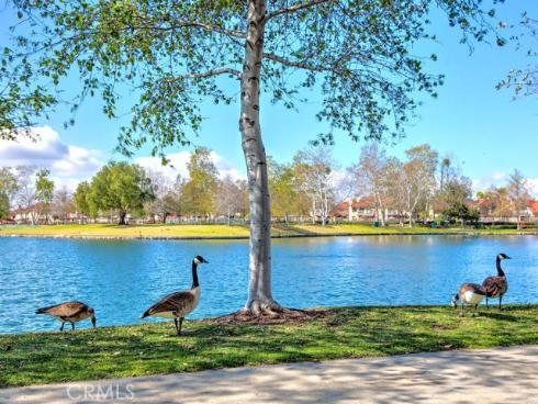 28  Serna  , Rancho Santa Margarita, CA